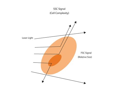 Afbeeldingsresultaten voor Multicolor Flow Cytometry