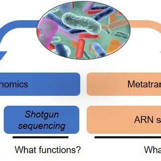 Image result for Analysis Methods