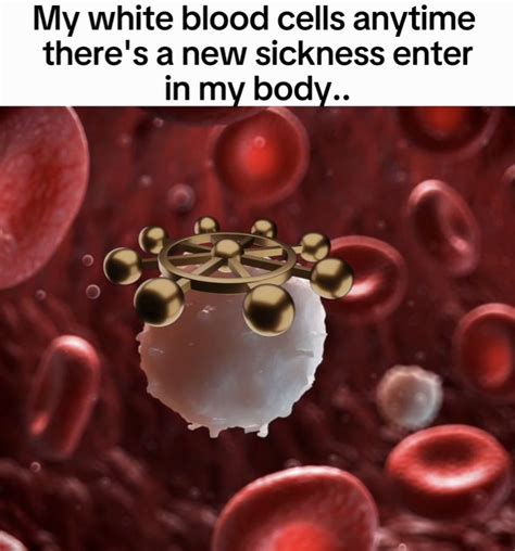 Image result for Blood Loss Meme