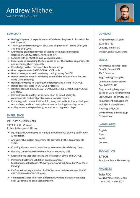 Resume Examples with Data Validation に対する画像結果