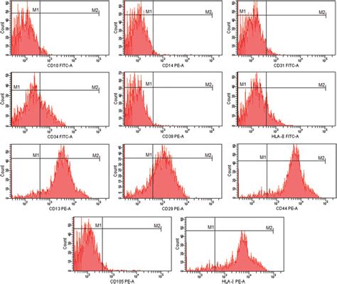 Image result for Flow Cytometry Histogram