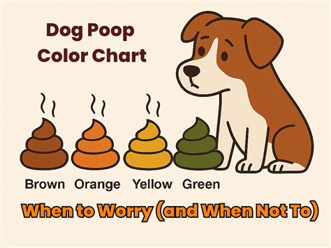 Dog Poop Color Chart に対する画像結果