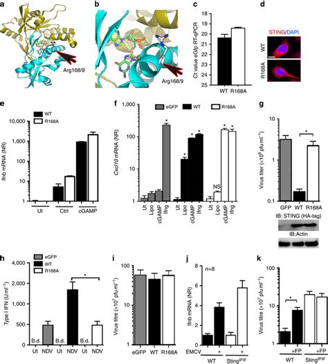 Afbeeldingsresultaten voor Sting Dimer
