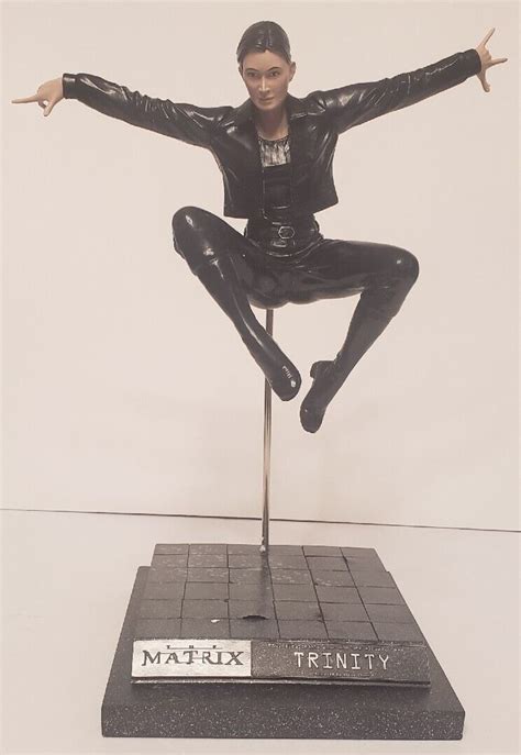 Image result for Matrix Trinity Flying Fight