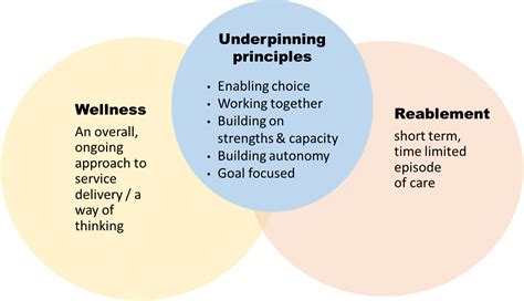 Image result for Support Plan Examples Wellness and Reablement