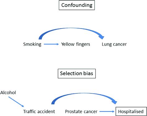 Confounding by Indication Example に対する画像結果