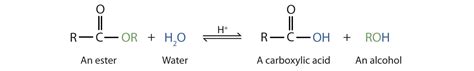 Image result for Hydrolysis Reaction Example