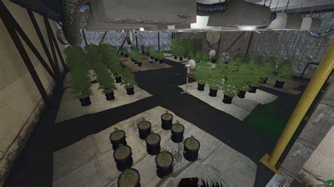 Image result for Fivem Cookies Script