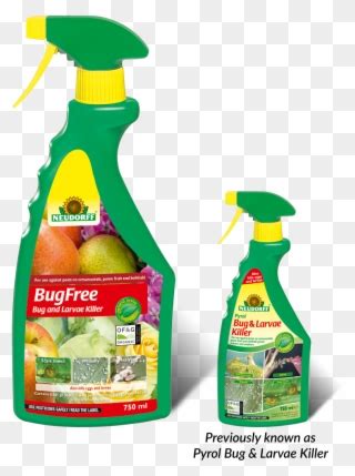 Larva Rogo PNG కోసం చిత్ర ఫలితం