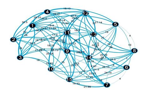 Image result for Complex Network Theory Example
