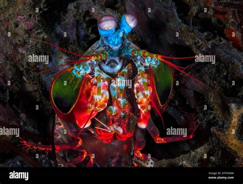 Toradh íomhá ar Level Design Prey Tutorial