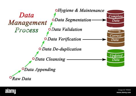 Image result for Components Process Management Is
