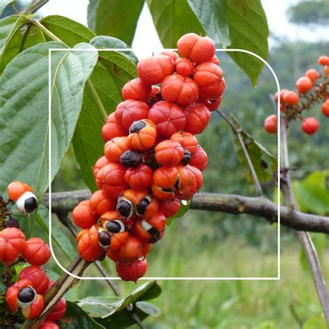 Toradh íomhá ar How to Make Complex Calcurator Using Function