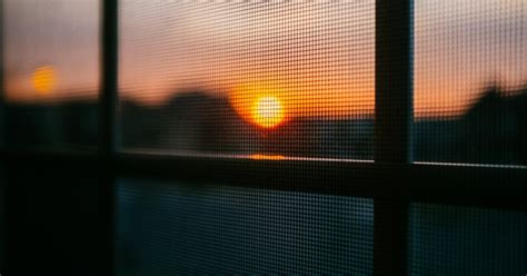 Image result for Window Screen Material