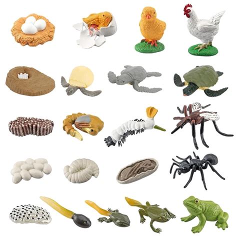 Toradh íomhá ar Java Kid Cycle