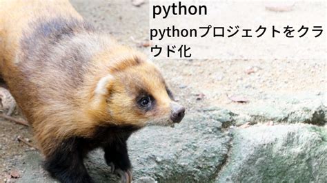 Drow OOP Python に対する画像結果