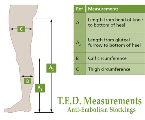 Image result for Compression Stocking Measurement Form