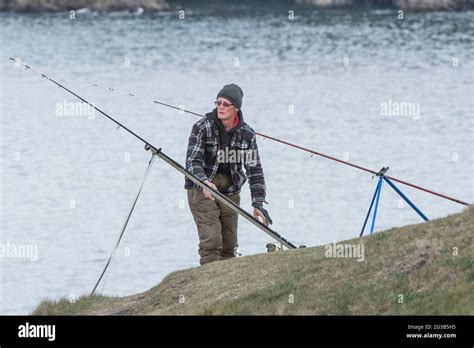 Image result for Colonial Angler