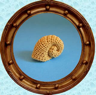 Toradh íomhá ar Spiral Shell Pattern