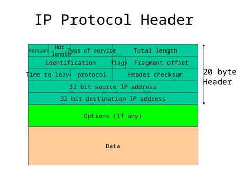Toradh íomhá ar Human Computer Network Programming