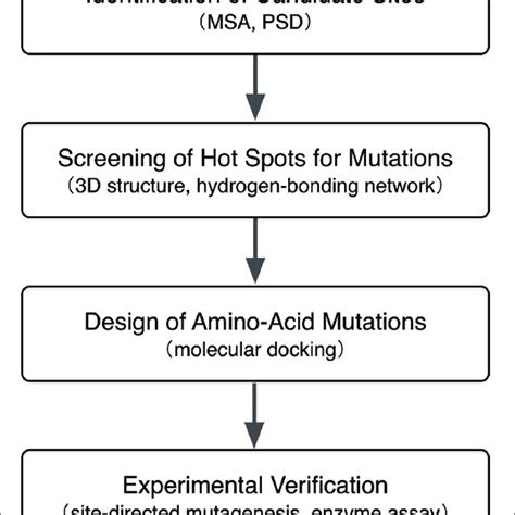 Computational Approach に対する画像結果