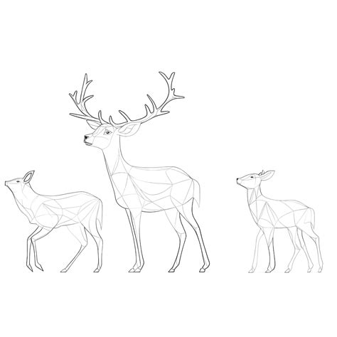 Toradh íomhá ar Data Center Contour Line Drawing