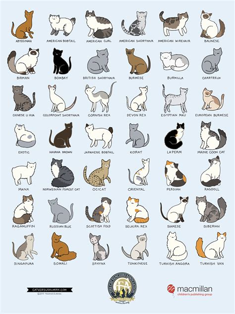 Different Types of Cats に対する画像結果