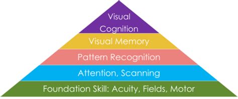 Afbeeldingsresultaten voor Model of Visual Processing
