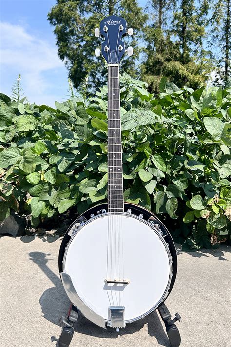 Image result for 4 String Banjo B Minor