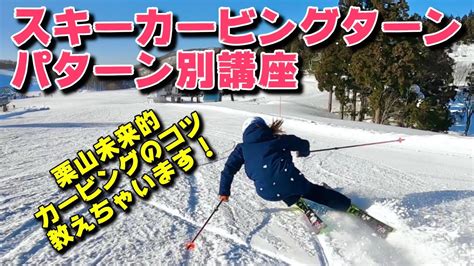 Ski Carving Lessons に対する画像結果