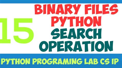 Image result for Binary File in Python 5 Programs