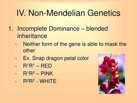 Image result for Non Mendelian Inheritance WebQuest Answer Key