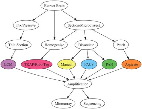 Type of Transcriptomics に対する画像結果
