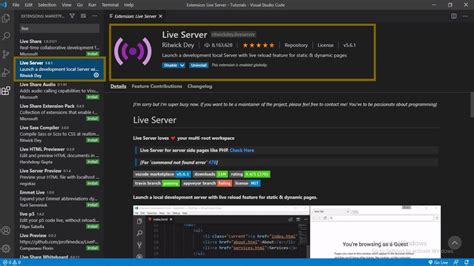 Toradh íomhá ar How to Set Live Server in vs Code