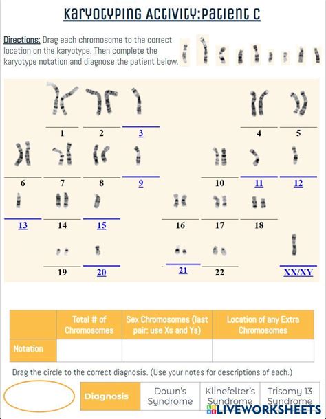 Image result for Chat Bot UI React Native