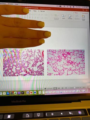 Image result for Lab 2 Test Quizlet