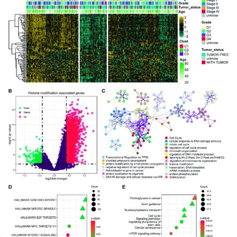 Image result for Encode Histone Modification Landscape