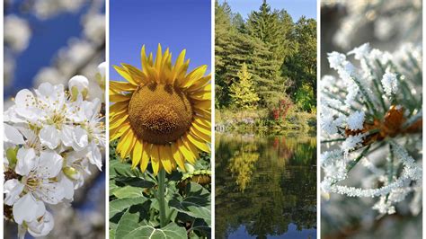 Image result for What Season AM I Personality Quiz PDF