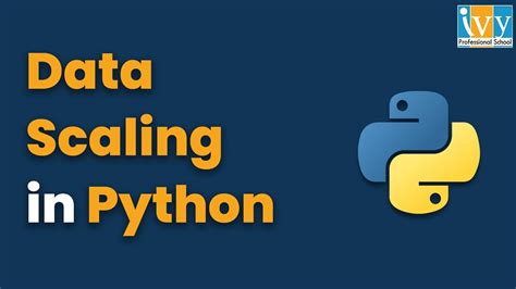 Scaler Python Certificate に対する画像結果