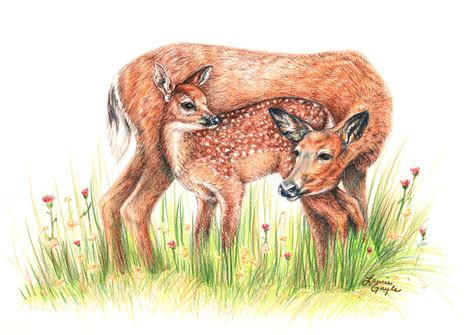 New Year Fawn Drawing に対する画像結果