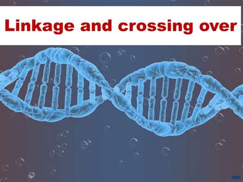 Image result for Linkage Crossing Over and Mapping in Genetics
