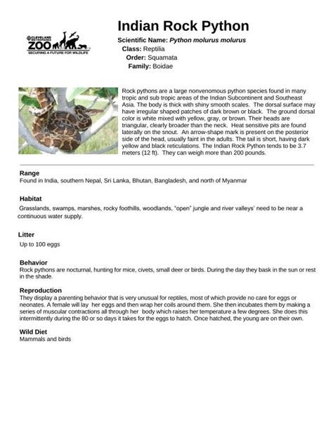 Toradh íomhá ar Python Fact Sheet