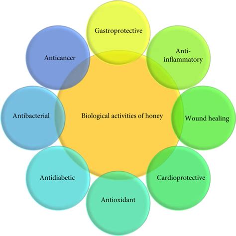Biological Activity Examples に対する画像結果