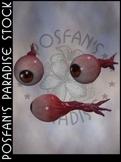 Real Human EyeBall に対する画像結果