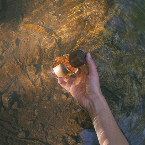 Afbeeldingsresultaten voor How to Paraphrase