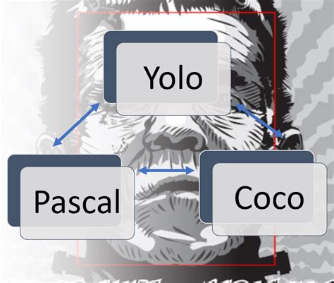 Coco Bounding Box Format に対する画像結果