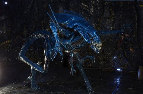 Toradh íomhá ar Alien Xenomorph Action Figure