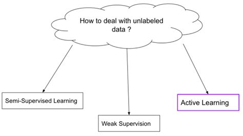 Image result for Weakly Supervised Learning