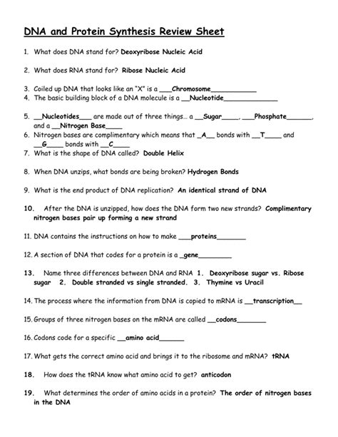 Image result for Protein Synthesis Worksheet Answer Key