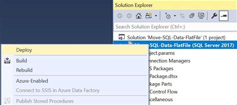 Image result for SQL Server SSIS Package